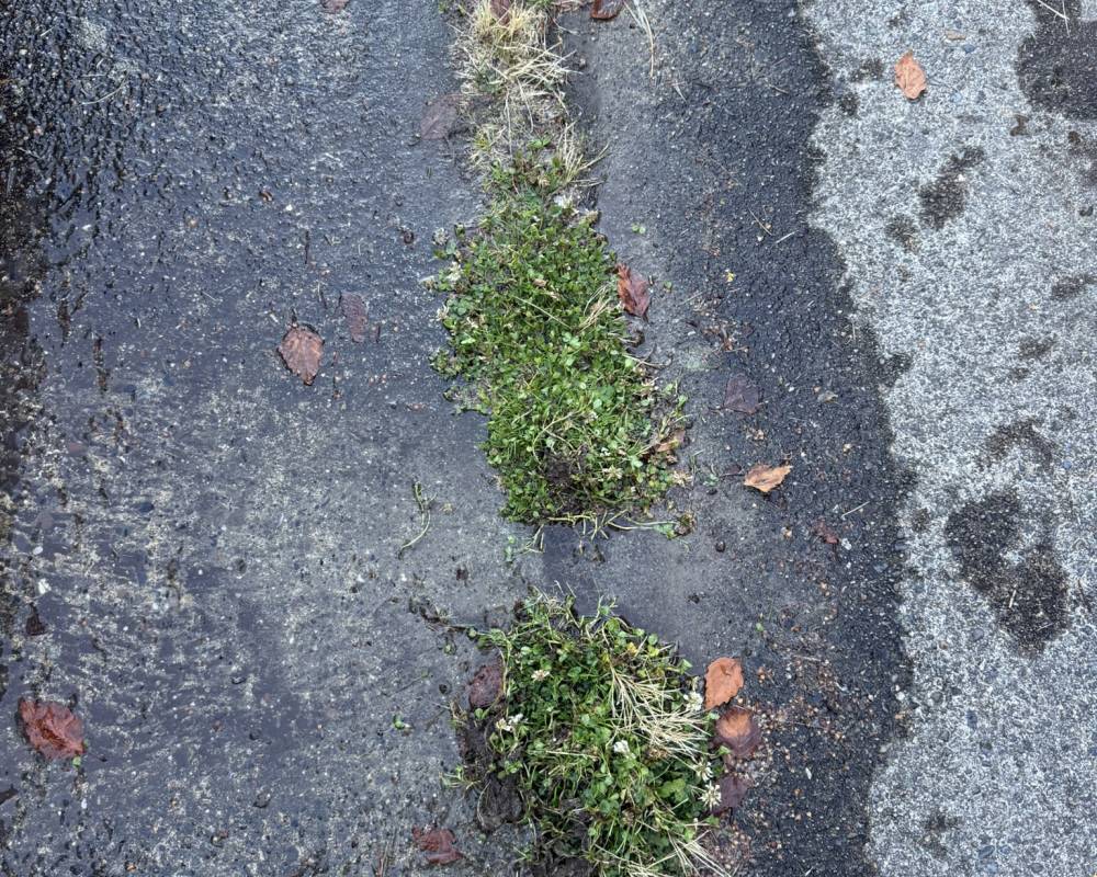 Kirkland Pipe Repair